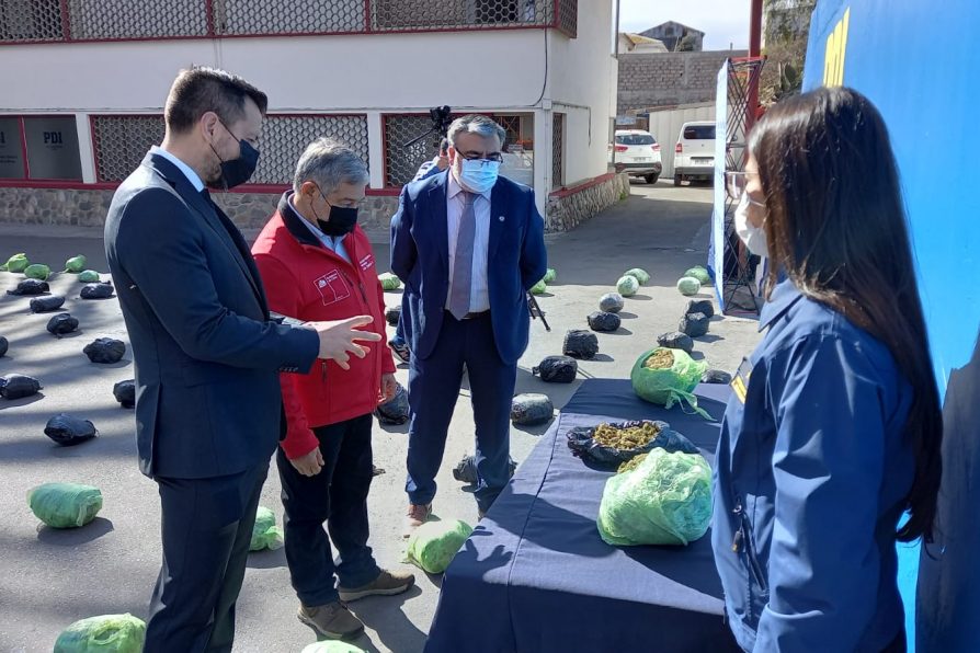 En una fosa séptica bajo tierra, PDI encuentra 269 kilos de cannabis procesada al interior de predio