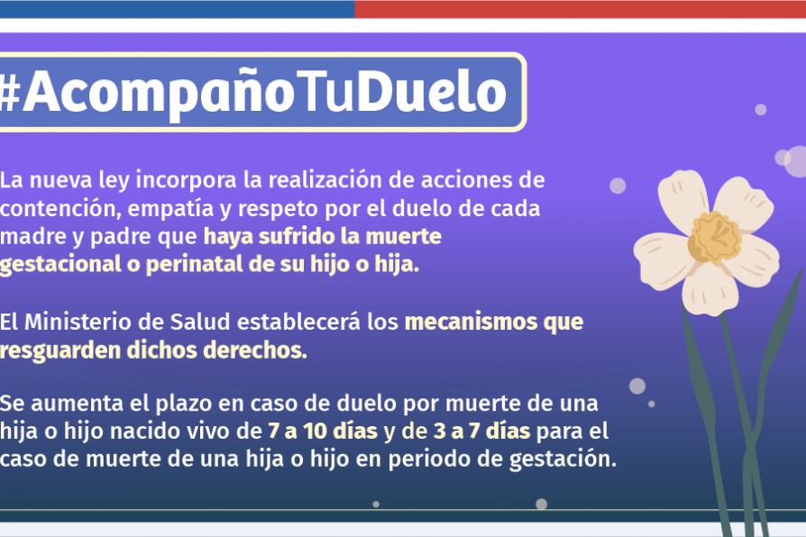 Promulgan Ley Dominga para entregar dignidad y acompañamiento a familias que sufren duelo gestacional