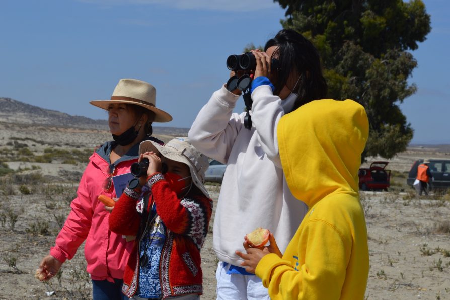 Día Internacional de los humedales: Anuncian nuevo Sitio Ramsar para la Región de Coquimbo