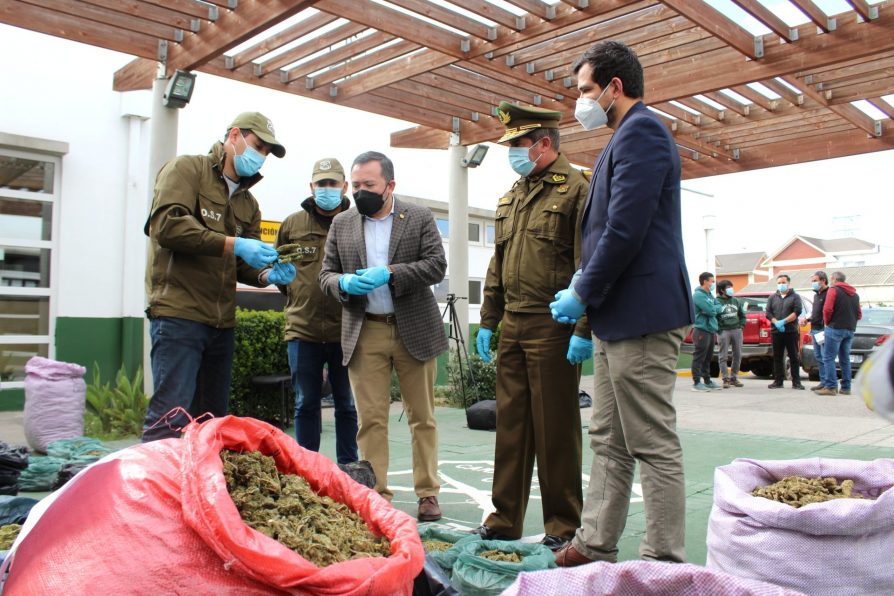 Histórico decomiso en Ovalle: OS7 evitó circulación de más de una tonelada de marihuana procesada