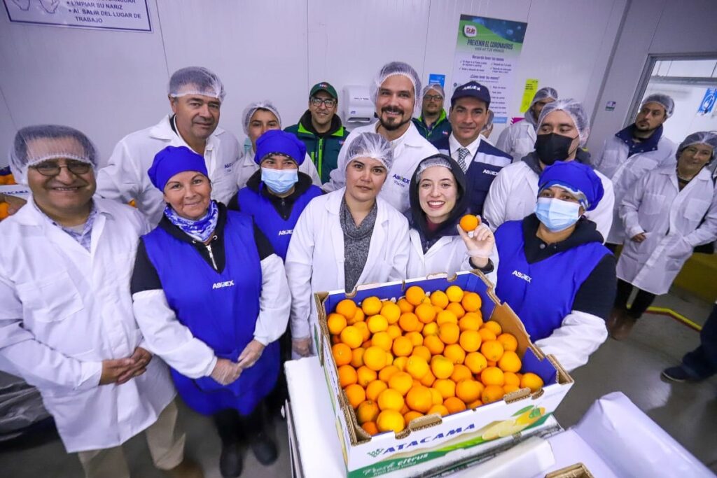 Dan inicio a la temporada de exportaciones a Estados Unidos proyectando un aumento de un 15% en la producción