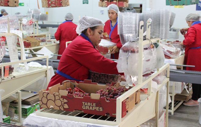 Número de ocupados registra nuevo aumento y más de 28 mil empleos se crean en la región de Coquimbo