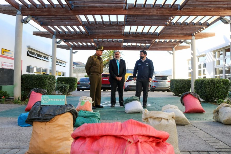 Carabineros logró multimillonario decomiso de marihuana en Río Hurtado: más de $1.300 millones