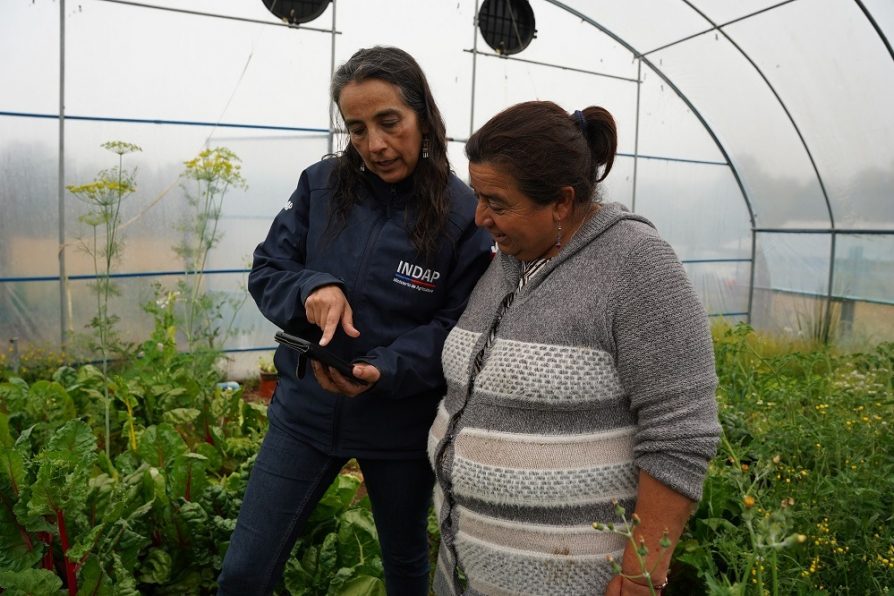 “Mi Pago INDAP”: La plataforma digital que facilitará los pagos de usuarios y usuarias de la institución en la región de Coquimbo