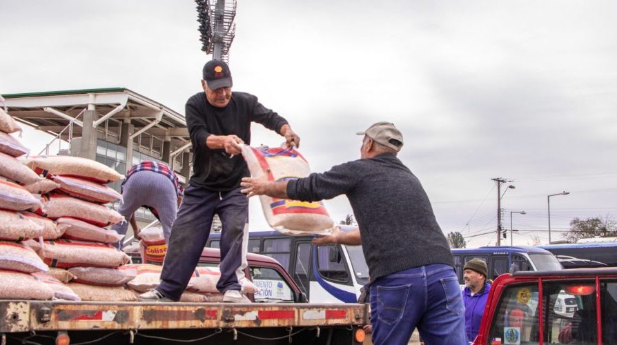 Comienza la entrega de incentivo que beneficiará a más de 2 mil usuarios de INDAP afectados por la escasez hídrica en la provincia de Limarí