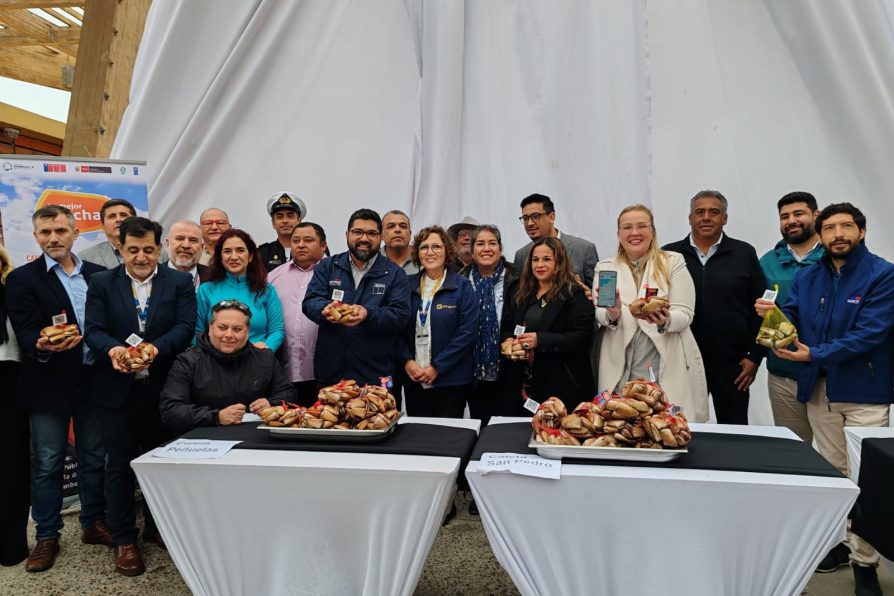 “La Mejor Macha”: Fortaleciendo la cadena de valor de un producto emblemático de la Región de Coquimbo