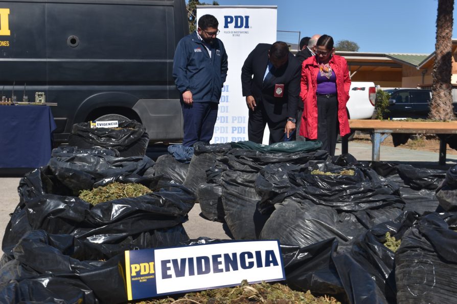 PDI decomisa más de 2 toneladas de cannabis procesada en Limarí