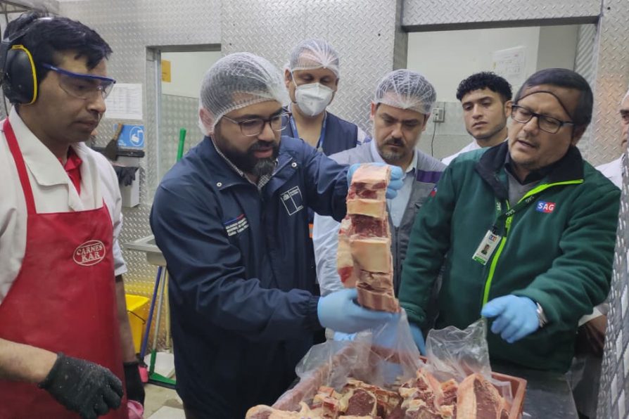 Realizan fiscalización conjunta a Ley de Carnes para garantizar su consumo en Fiestas Patrias de forma segura