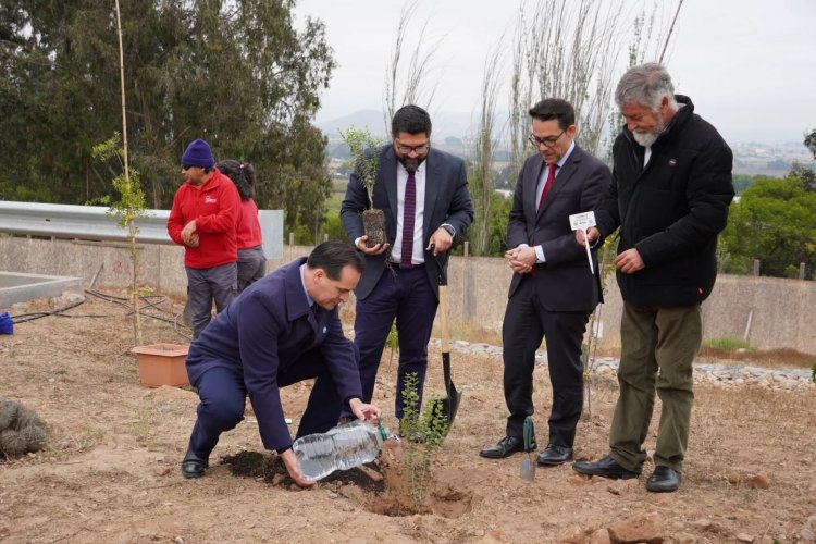 Gobernador rinde Cuenta Pública de Cambio Climático y destaca inversión superior a $14 mil millones