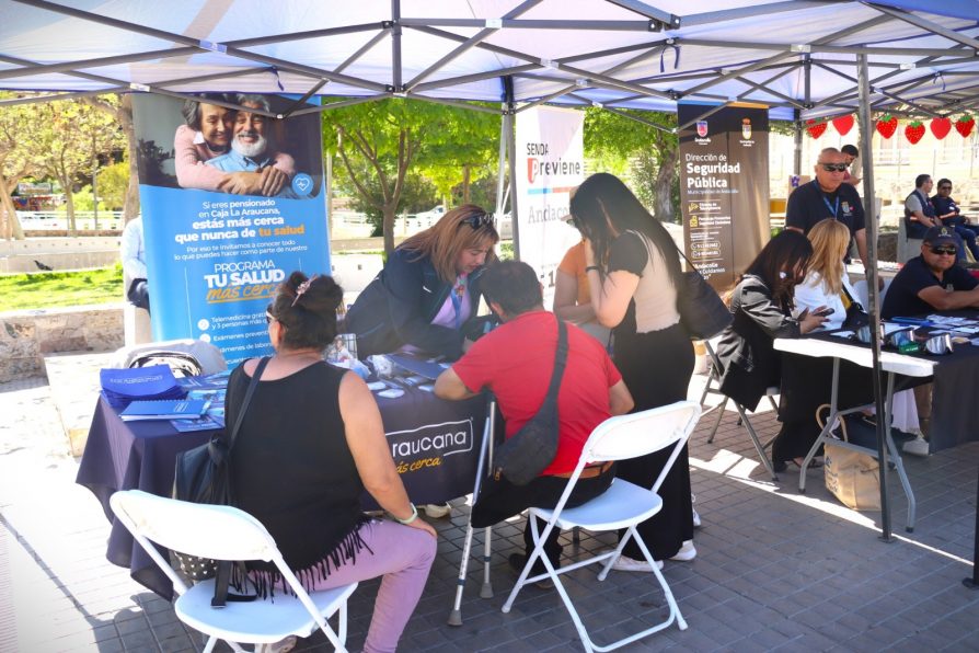 Gobierno en Terreno desplegó sus servicios públicos en Andacollo