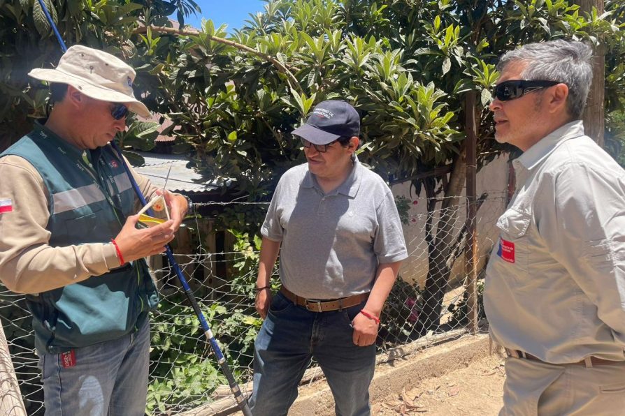 SAG finaliza dos campañas de erradicación de la Mosca de la Fruta en Monte Patria