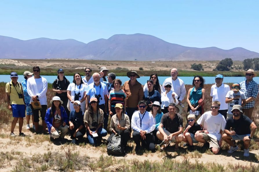 Humedal Laguna Adelaida es reconocido oficialmente como Humedal Urbano en Coquimbo.