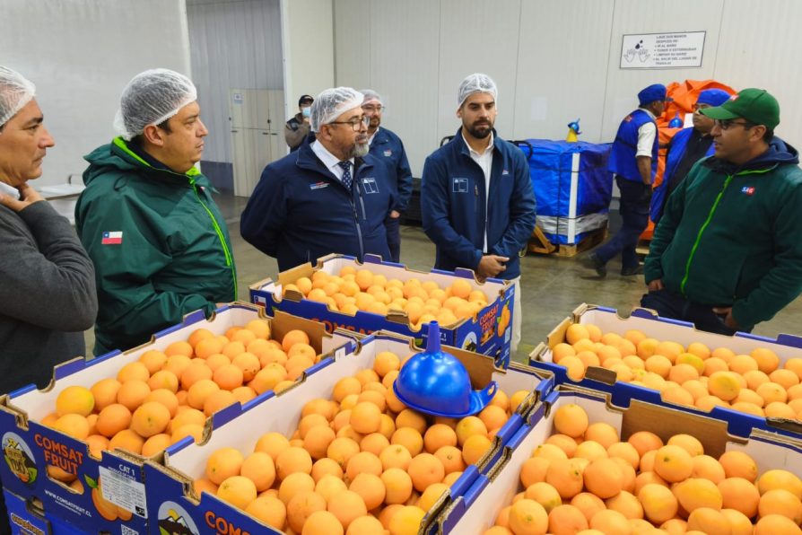 Implementan sistema de doble procesamiento para asegurar exportaciones de frutas hacia Estados Unidos