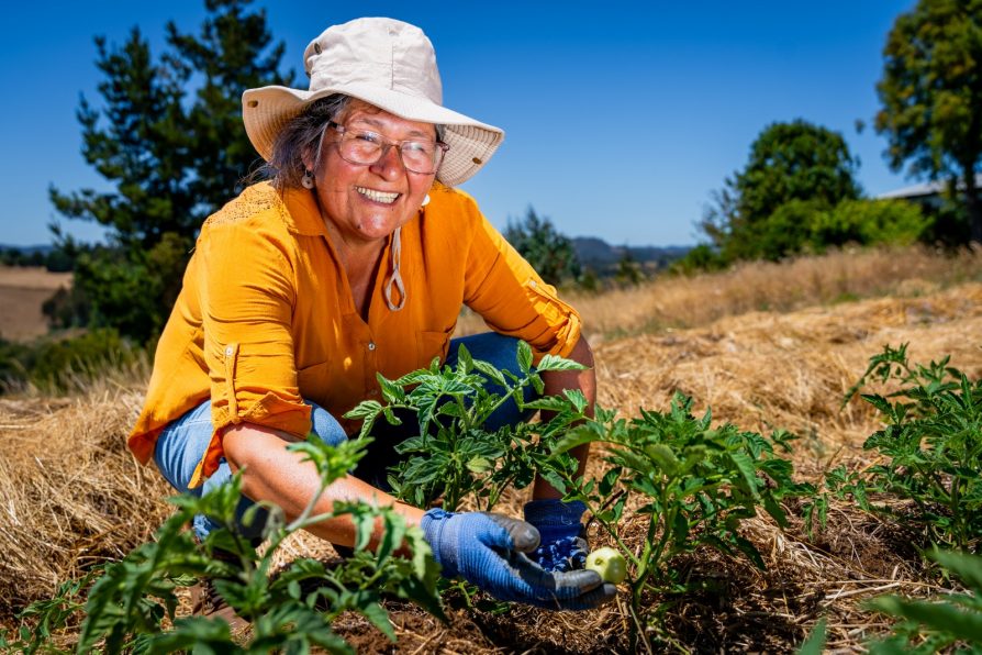 INDAP recuerda requisitos de acreditación a Comunidades Agrícolas y la importancia de contar con antecedentes al día para acceder a beneficios